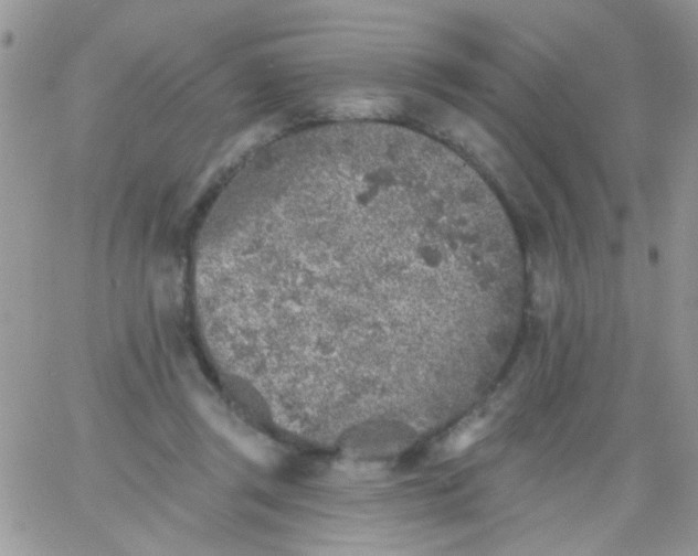 X0000065970357200603172056