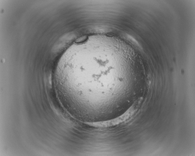 X0000065970358200603172056