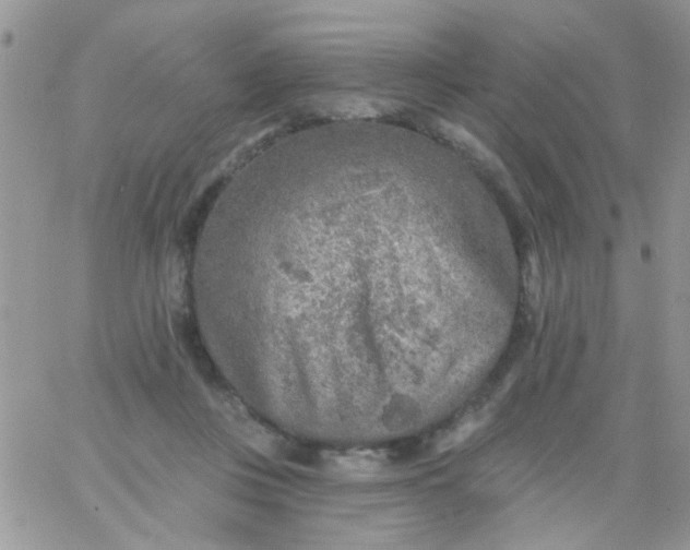 X0000065970359200603172056