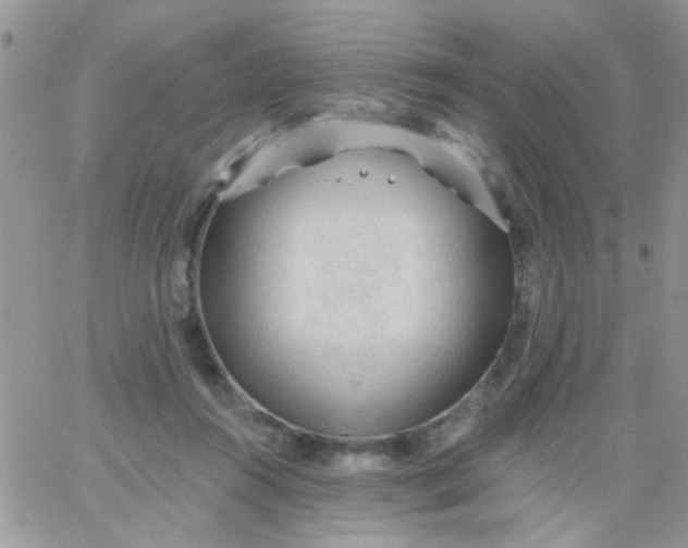 X0000065970360200603172056