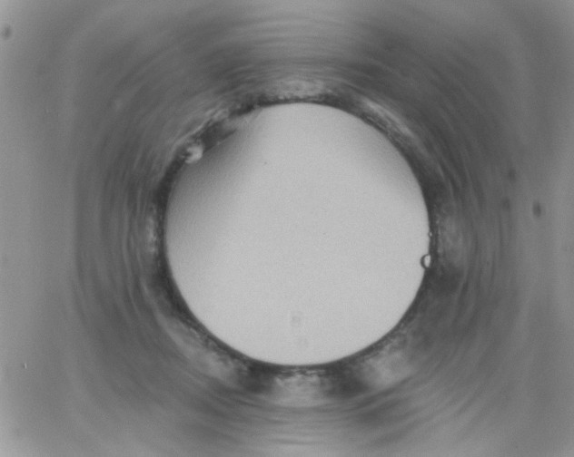 X0000065970362200603172056