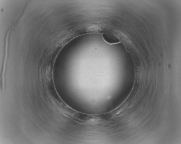 X0000065970364200603172056