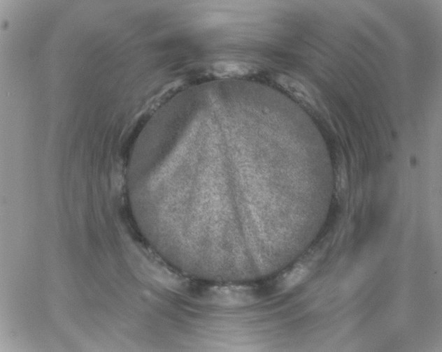 X0000065970367200603172056