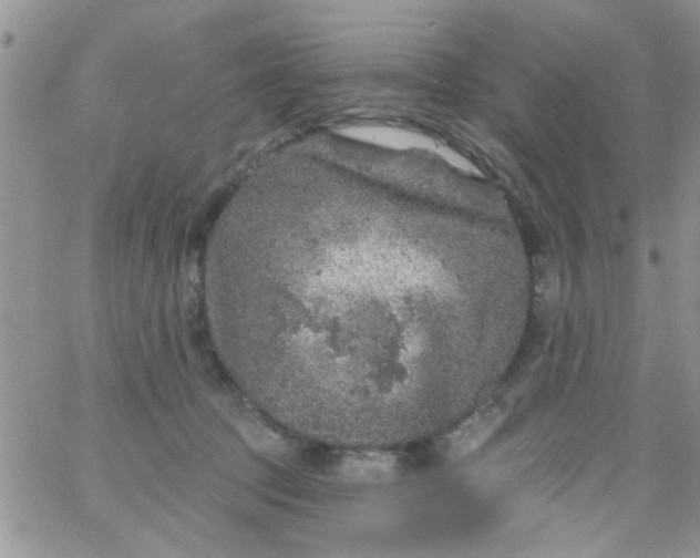 X0000065970369200603172056