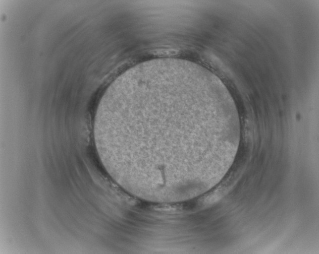 X0000065970370200603172056