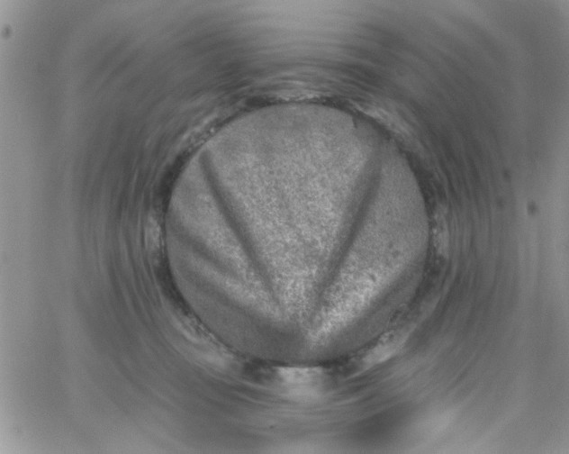 X0000065970371200603172056