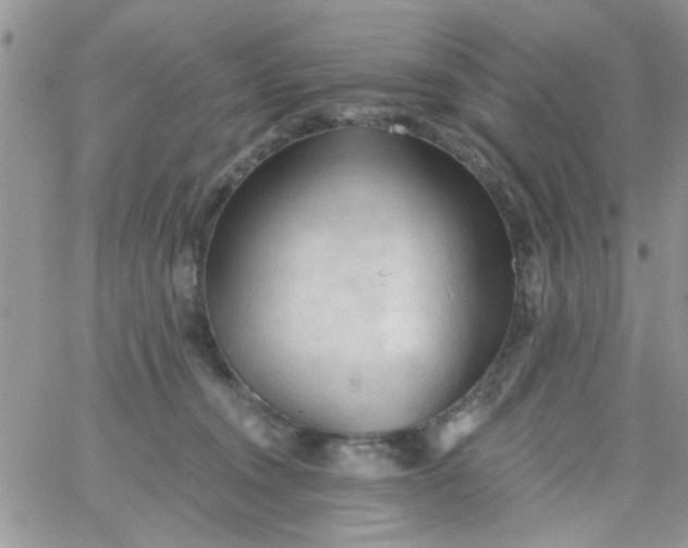 X0000065970372200603172056