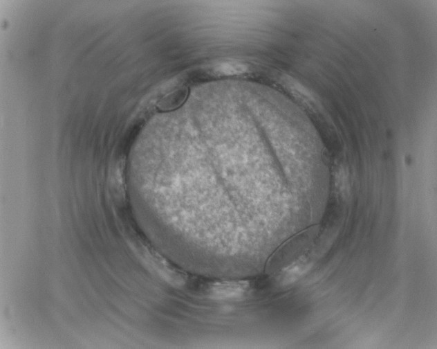 X0000065970373200603172056