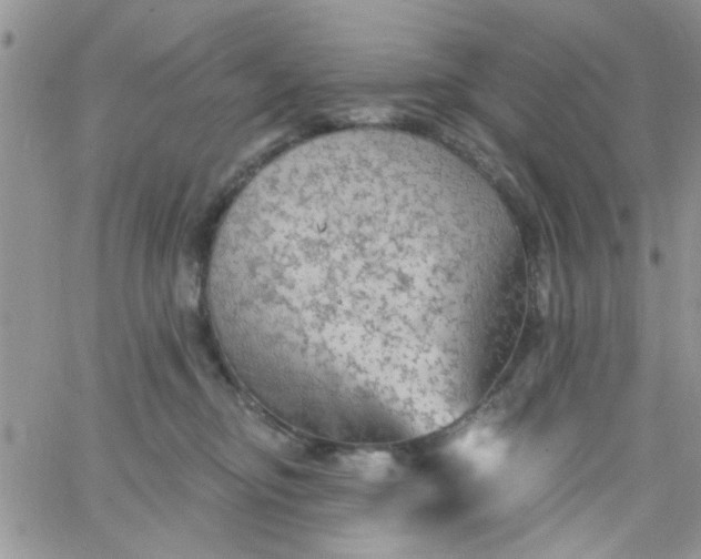 X0000065970374200603172056