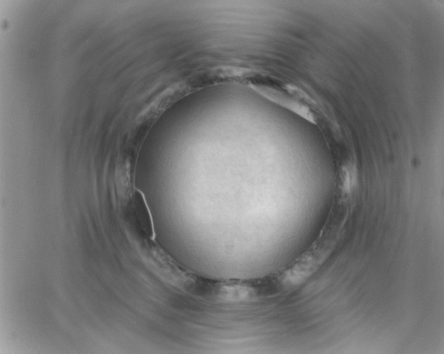 X0000065970376200603172056