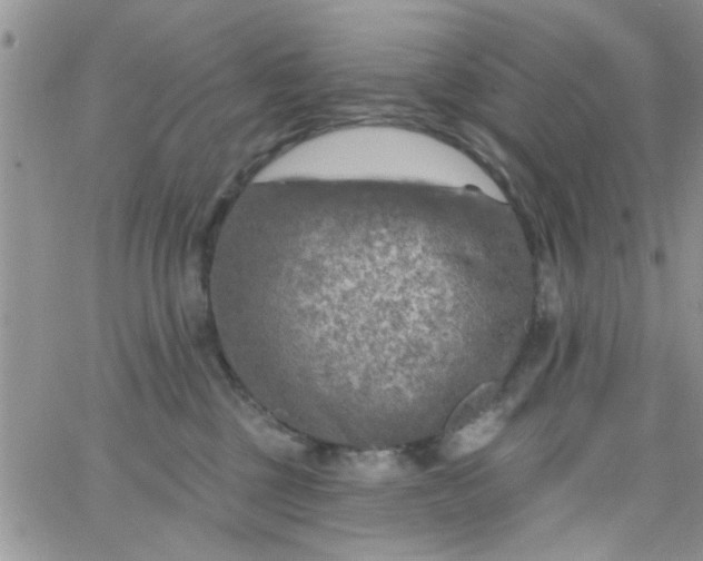 X0000065970377200603172056