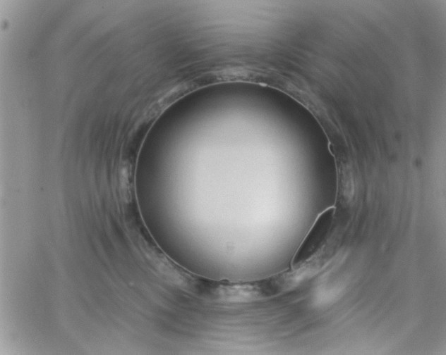 X0000065970378200603172056