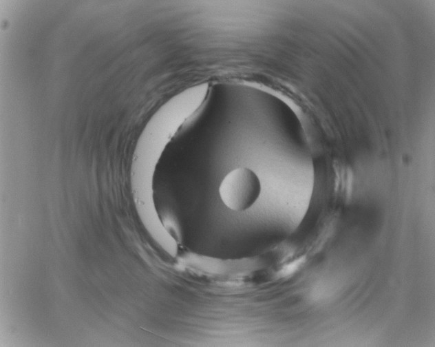 X0000065970380200603172056