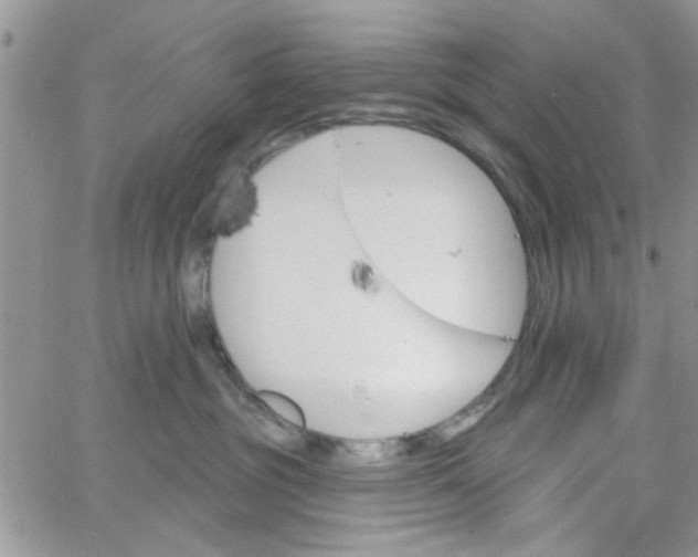 X0000065970381200603172056