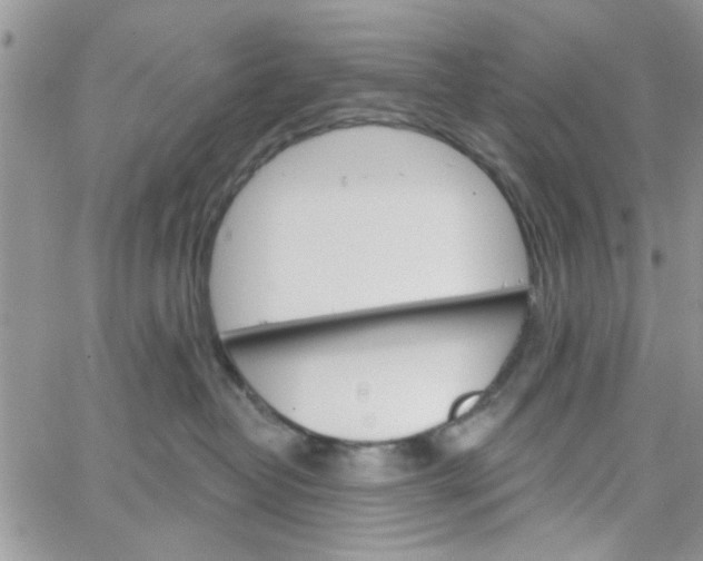 X0000065970382200603172056