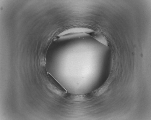 X0000065970384200603172056