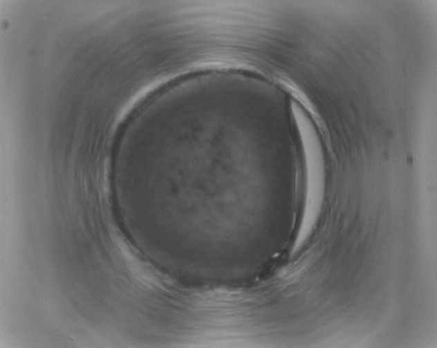 X0000065970387200603172055