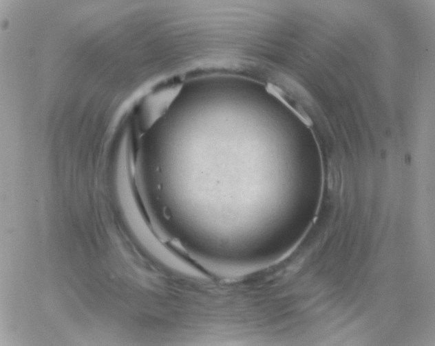 X0000065970388200603172055