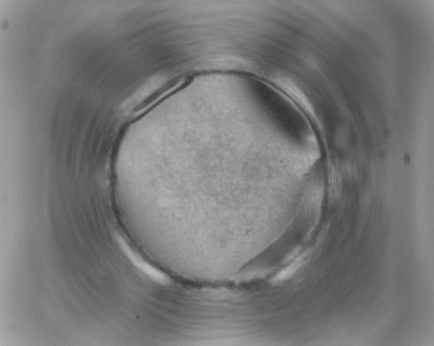 X0000065970389200603172055