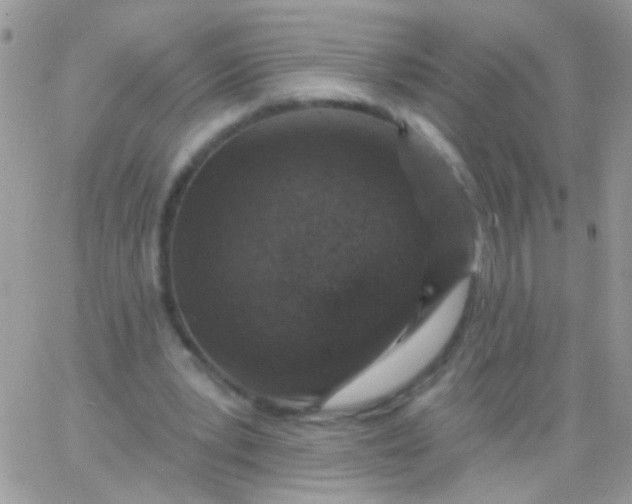 X0000065970391200603172055