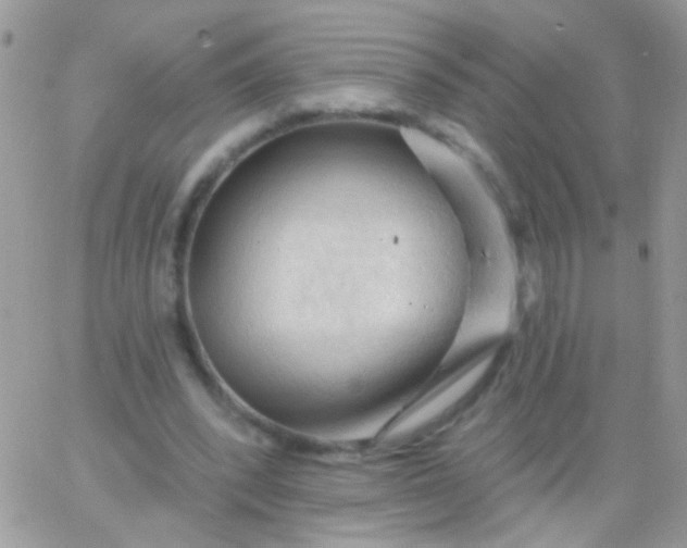 X0000065970392200603172055