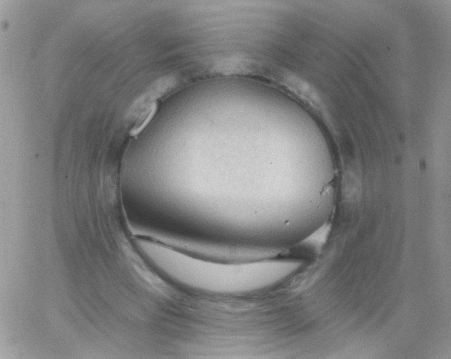 X0000065970393200603172055