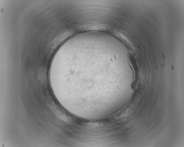 X0000065970394200603172055