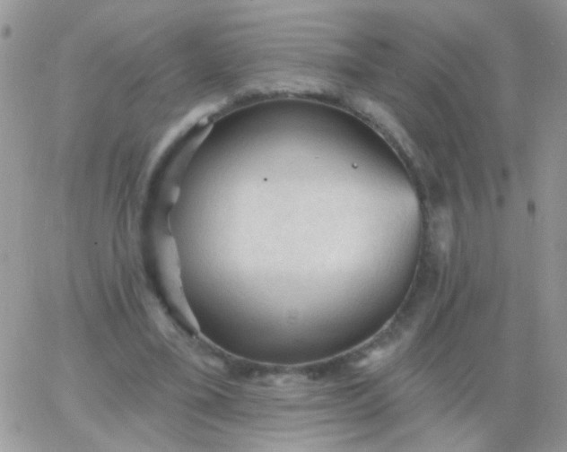 X0000065970395200603172055