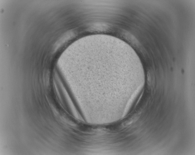 X0000065970396200603172055