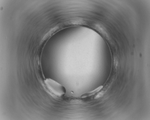 X0000065970397200603172055