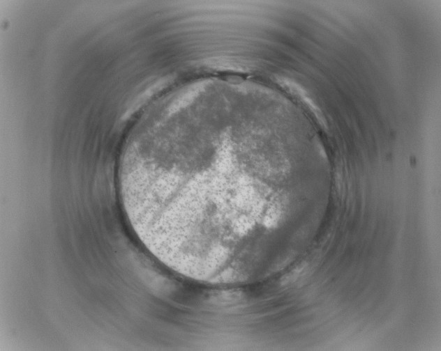 X0000065970398200603172055