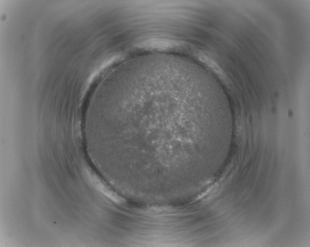 X0000065970399200603172055