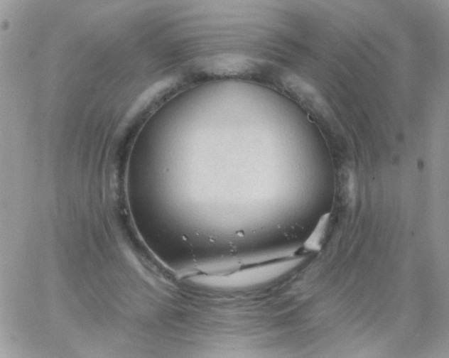 X0000065970400200603172055