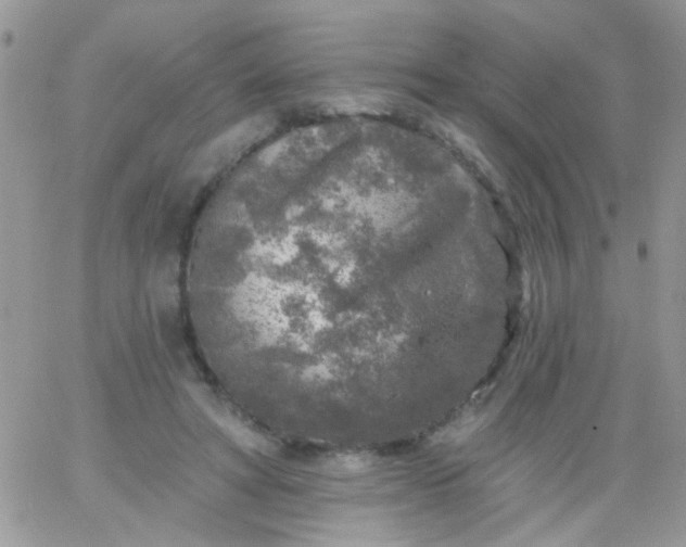 X0000065970402200603172055