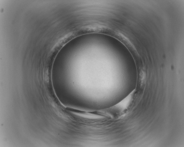 X0000065970403200603172055