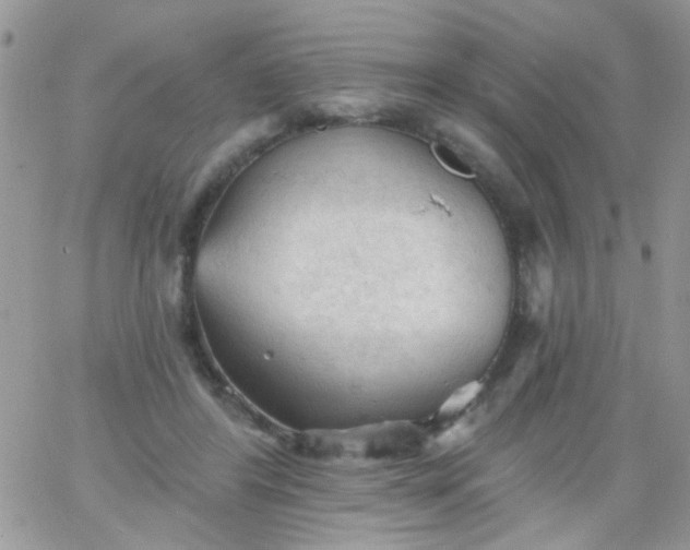 X0000065970404200603172055