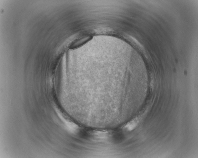 X0000065970405200603172055