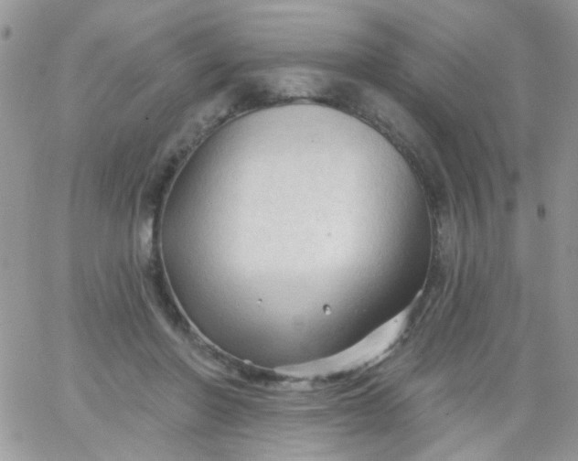 X0000065970406200603172055