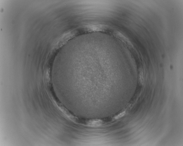 X0000065970410200603172055