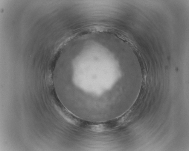 X0000065970411200603172055