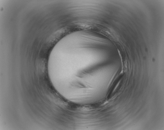 X0000065970412200603172055