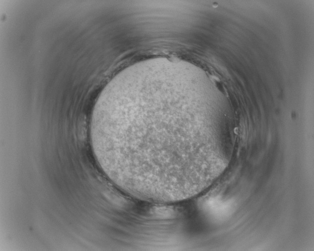 X0000065970413200603172055