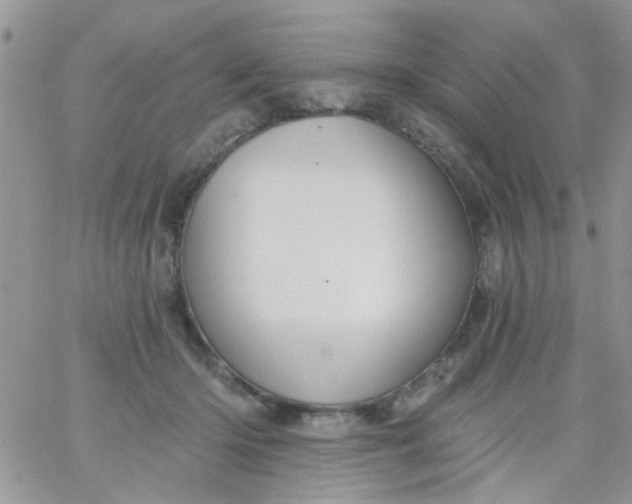 X0000065970414200603172055