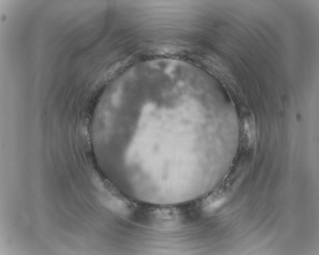 X0000065970415200603172055