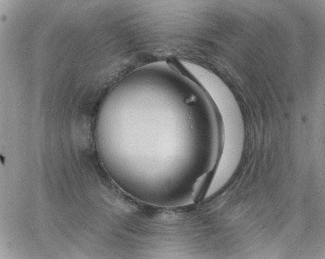 X0000065970416200603172055