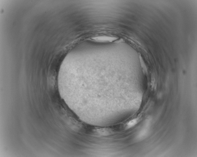 X0000065970417200603172055