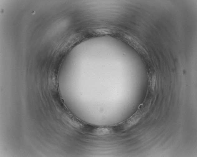 X0000065970418200603172055