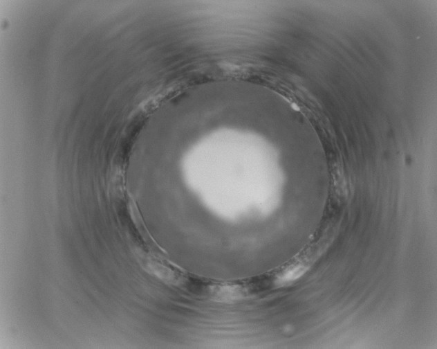 X0000065970419200603172055