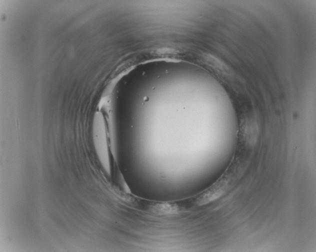 X0000065970421200603172055