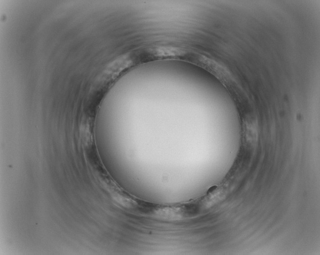 X0000065970422200603172055